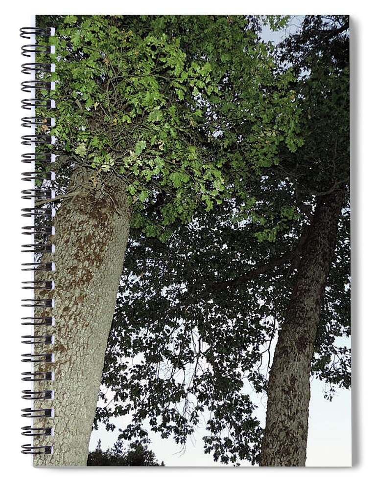 Yosemite Spiral Notebook featuring the photograph Twilight In The Valley 2 by Eric Forster
