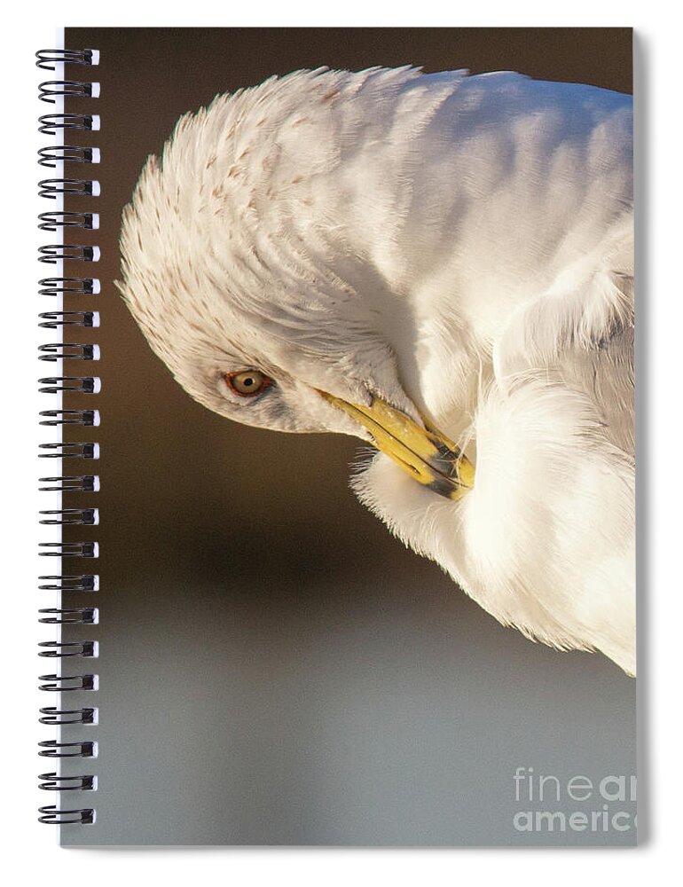 Bird Spiral Notebook featuring the photograph Twisted by Cheryl Del Toro