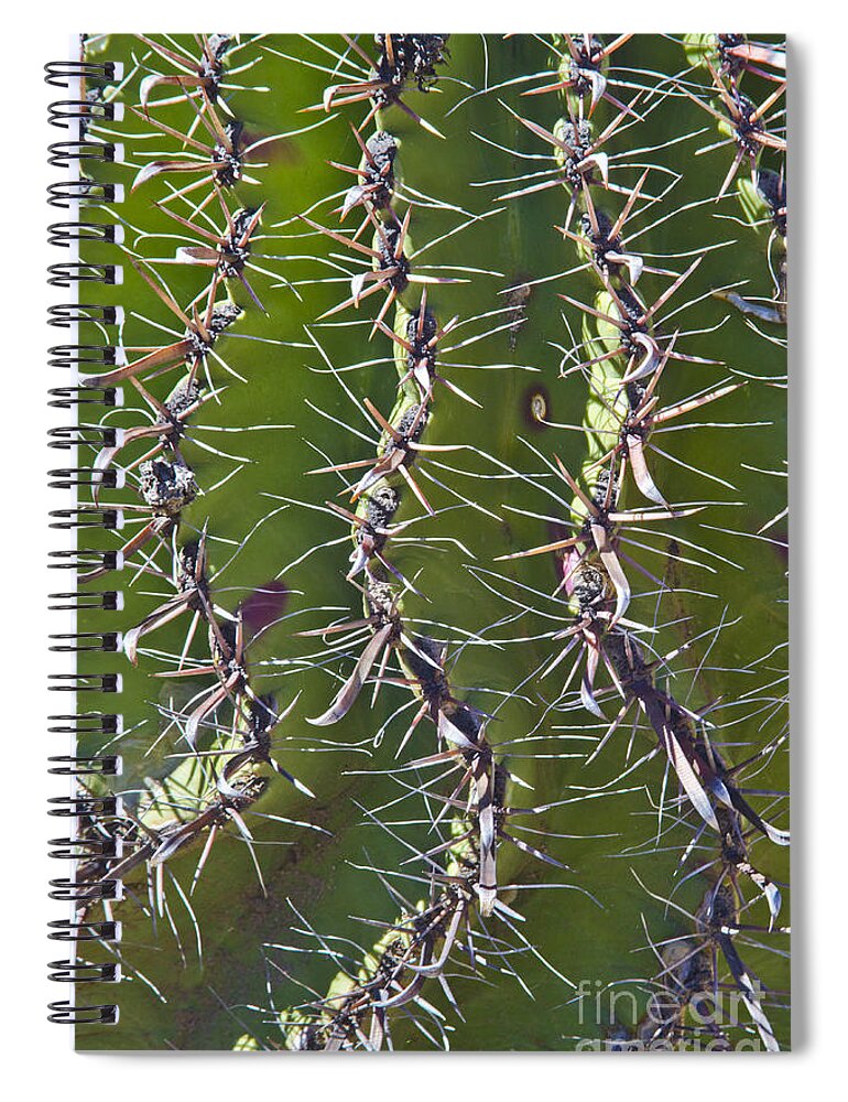 Arizona Spiral Notebook featuring the photograph Twisted by Kathy McClure