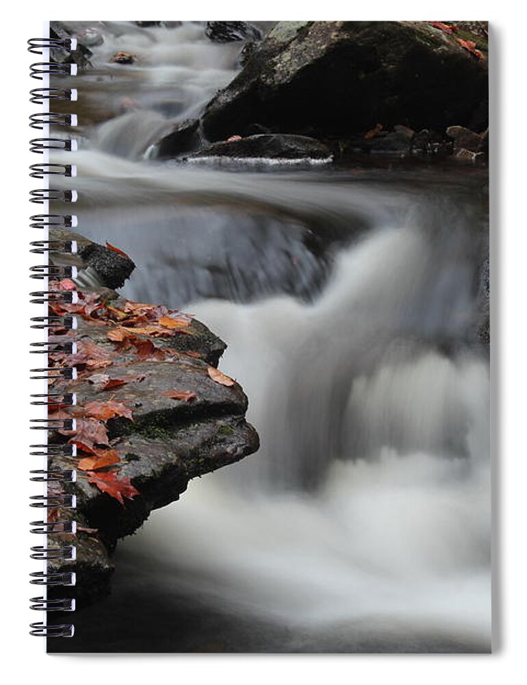 Waterfall Leaves Movement Rocks Edges Multicolored Spiral Notebook featuring the photograph Twisted Waterfall by Scott Burd