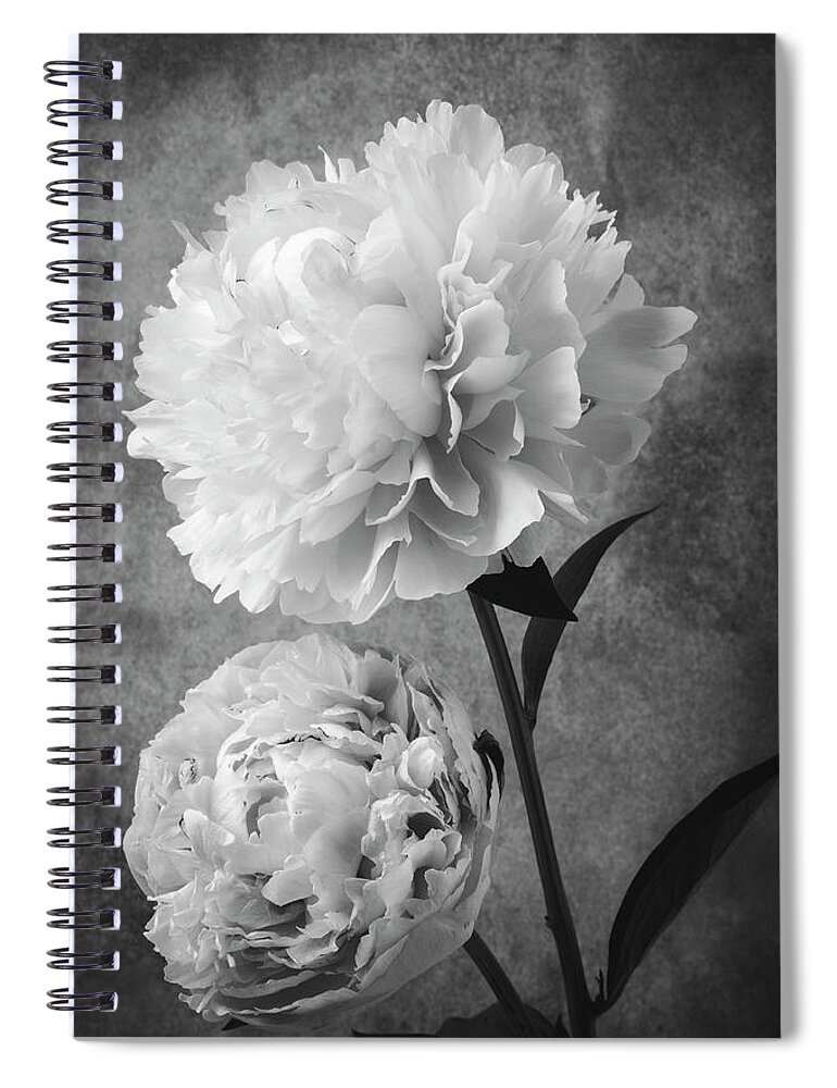 Marvelous Spiral Notebook featuring the photograph Two Beautiful Black And White Peonies by Garry Gay