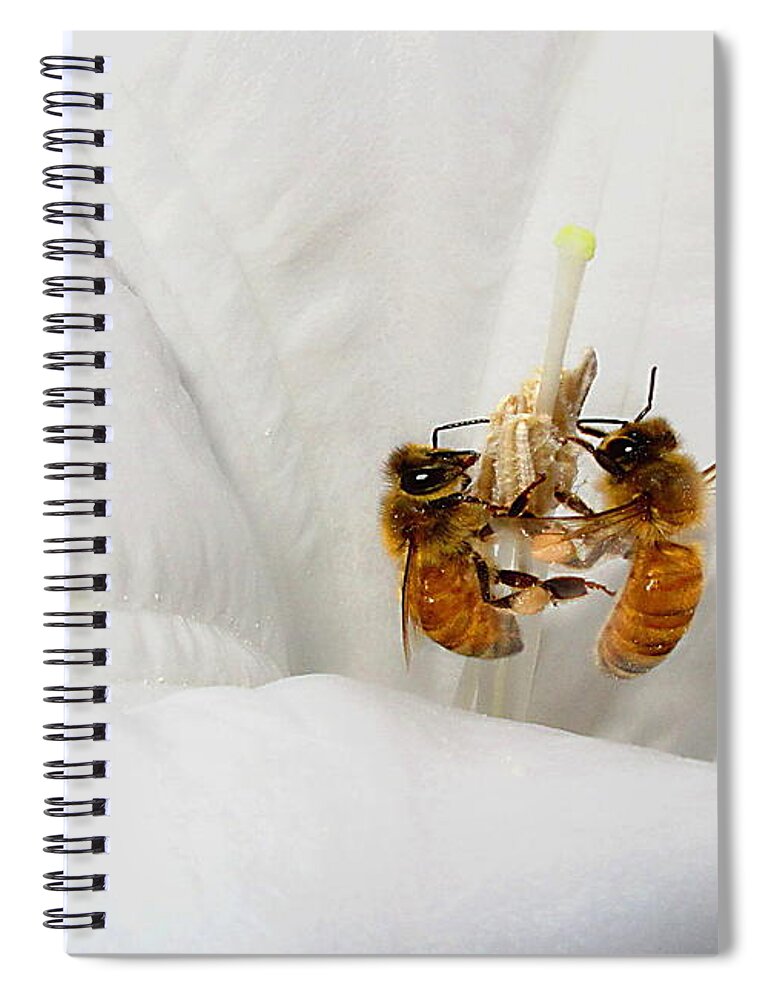 Bee Spiral Notebook featuring the photograph Two Busy by Joyce Dickens