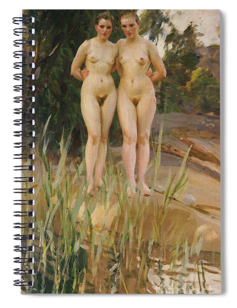 Nude Spiral Notebook featuring the painting Two Friends by Anders Leonard Zorn