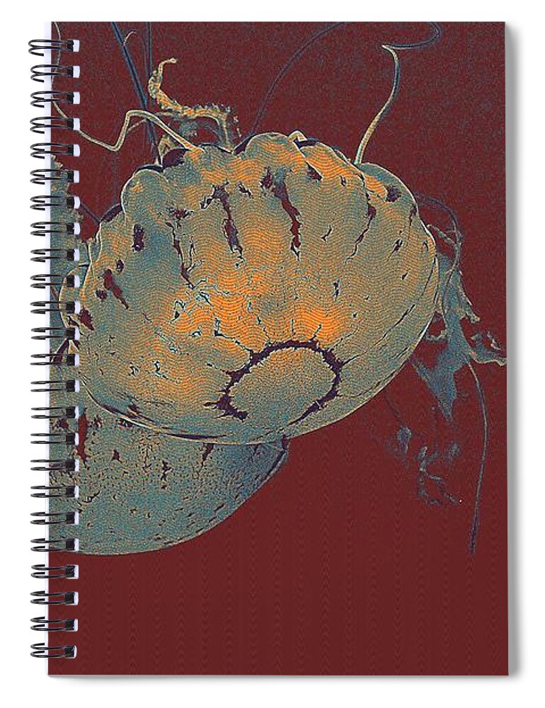 Nature Spiral Notebook featuring the painting two Jelly fish by Celestial Images