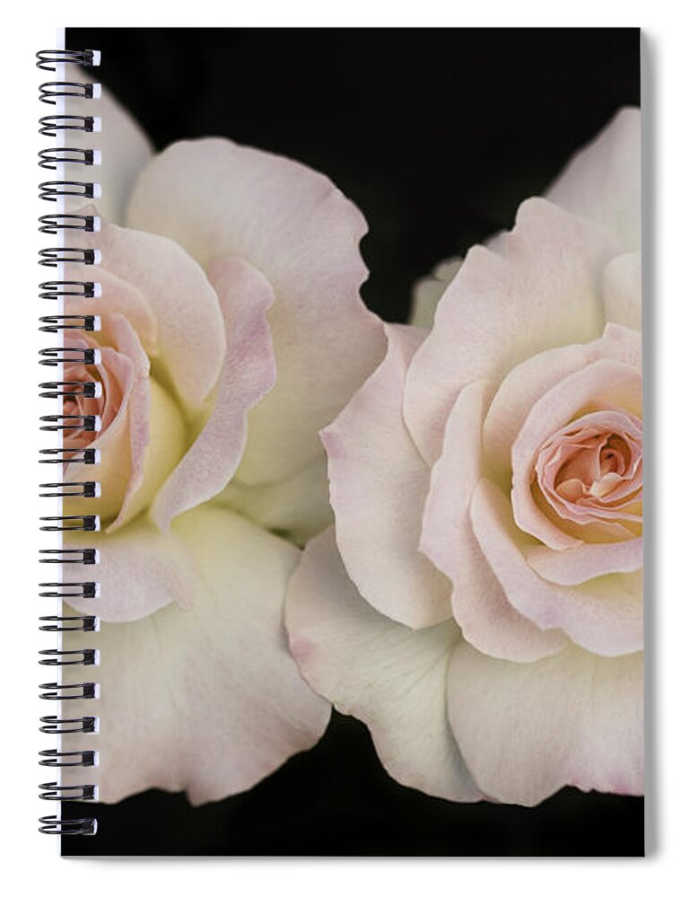 Roses Spiral Notebook featuring the photograph Two of a Kind by Patty Colabuono