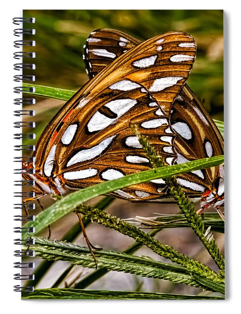 Photograph Spiral Notebook featuring the photograph Two To Tango by Christopher Holmes