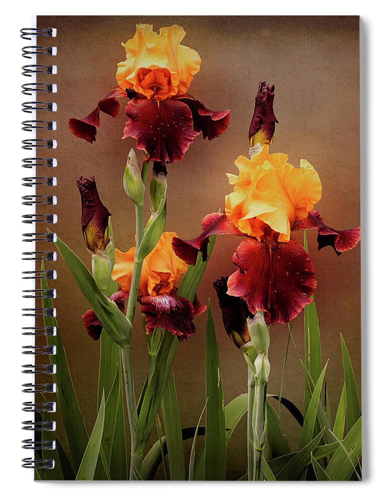Bearded Iris Spiral Notebook featuring the photograph Two Toned Bearded Iris by Leslie Montgomery