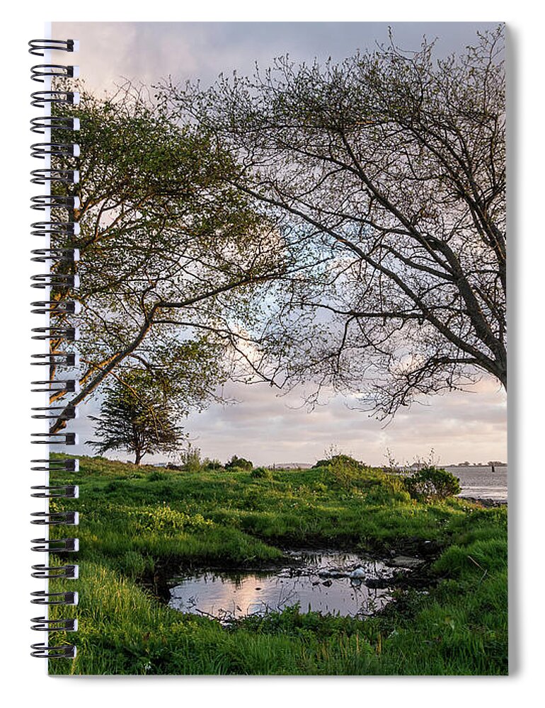 Humboldt Bay Spiral Notebook featuring the photograph Two Trees and a Puddle by Greg Nyquist