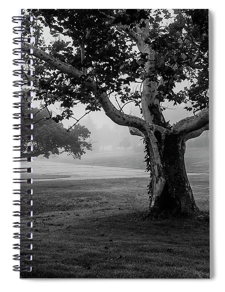 Trees Spiral Notebook featuring the photograph Two Trees Colt State Park by David Gordon
