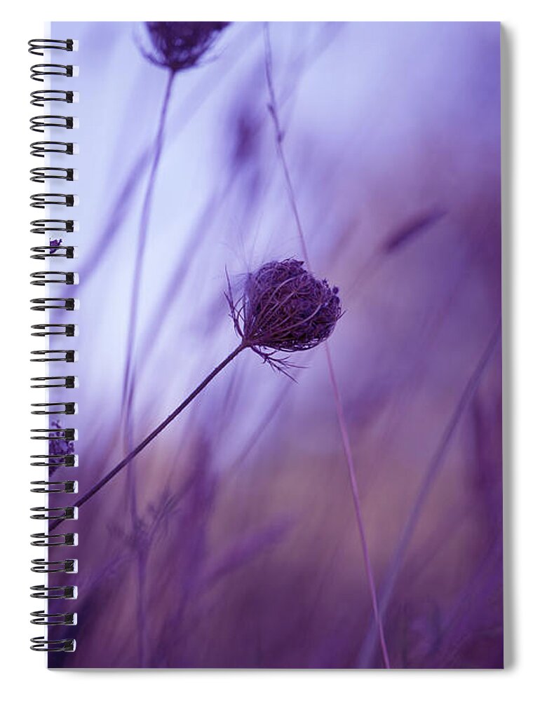 Color Photographic Print Spiral Notebook featuring the photograph Ultra Violet Botanical by Bonnie Bruno