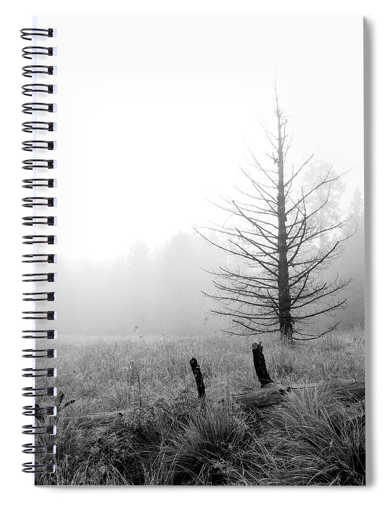 Arizona Spiral Notebook featuring the photograph Unadorned by Steven Myers