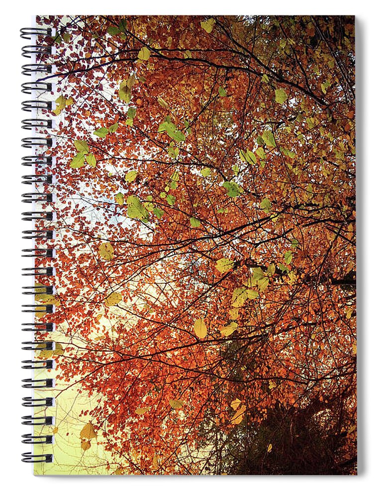 Autumn Spiral Notebook featuring the photograph Under An Autumn Sky - No.2 by No Alphabet
