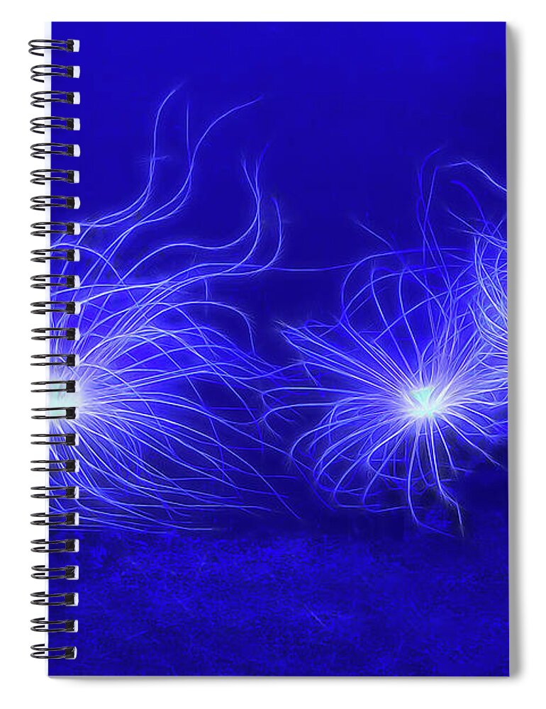 Anemone Spiral Notebook featuring the photograph Underwater Fireworks - Sea Anemones by Mitch Spence