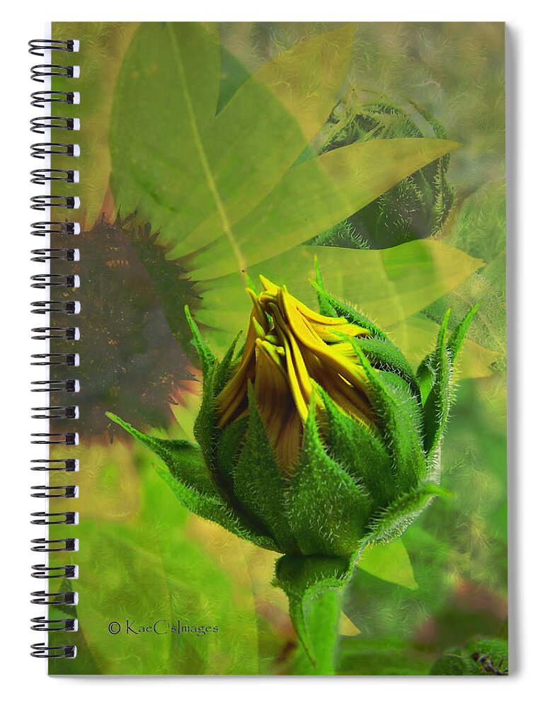 Sunflower Spiral Notebook featuring the digital art Unfolding Sunflower by Kae Cheatham
