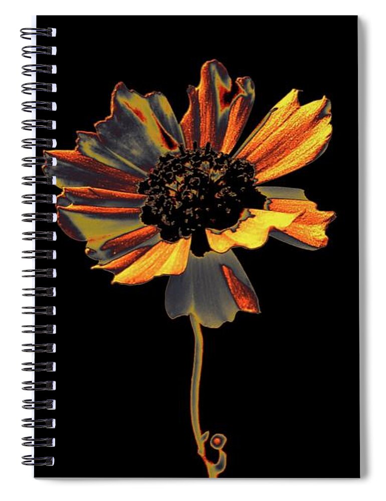 Flower Spiral Notebook featuring the photograph Uniquely Solo by Dani McEvoy