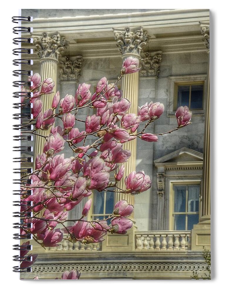 United States Capitol Spiral Notebook featuring the photograph United States Capitol - Magnolia Tree by Marianna Mills