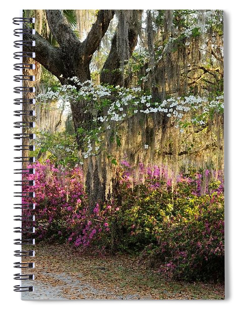 Spring Spiral Notebook featuring the photograph Unpaved road in Spring by Bradford Martin
