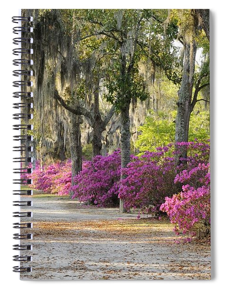 Road Spiral Notebook featuring the photograph Unpaved road with Azaleas and Oaks by Bradford Martin