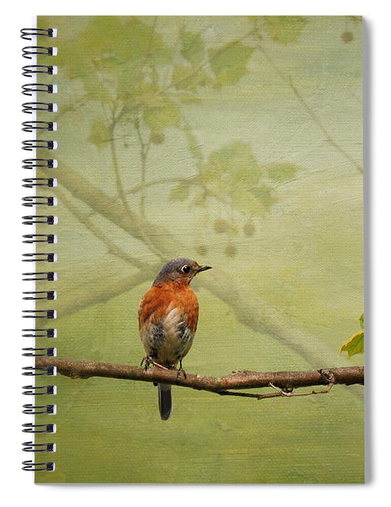 Bluebirds Spiral Notebook featuring the photograph Until Spring by Lois Bryan