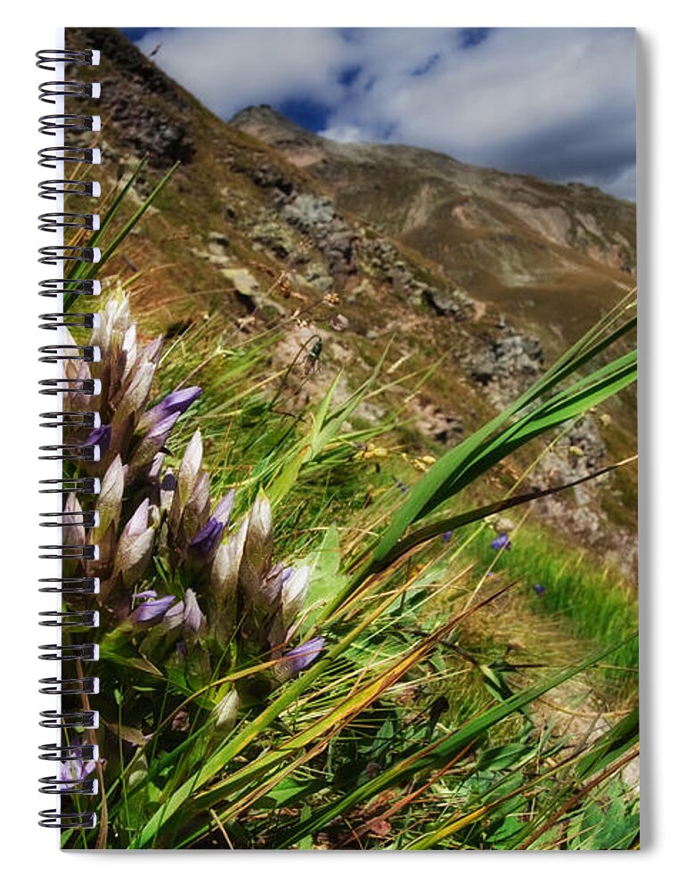 Environment Spiral Notebook featuring the photograph Untitled 94 by Roberto Pagani
