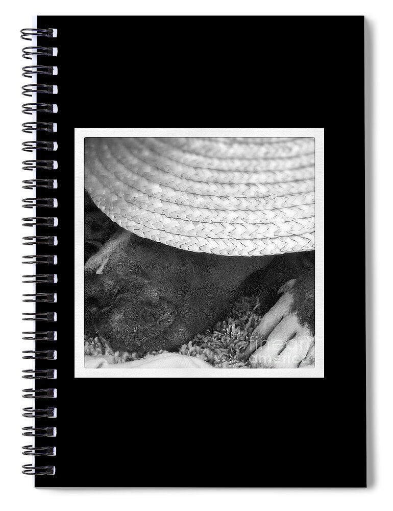 Dog Spiral Notebook featuring the photograph Untitled by Kari Myres