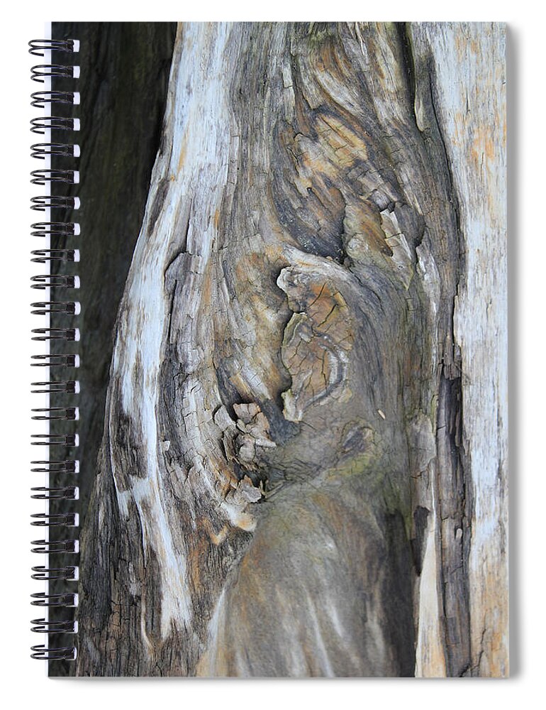 Tidal Spiral Notebook featuring the photograph Untitled V - Tidal Wood by Annekathrin Hansen