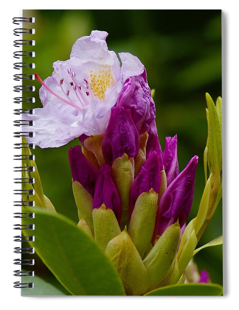 Flowers Spiral Notebook featuring the photograph Unveiling of Inner Self by Ben Upham III