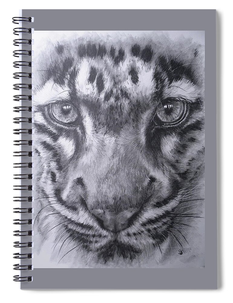 Clouded Leopard Spiral Notebook featuring the drawing Fixate by Barbara Keith