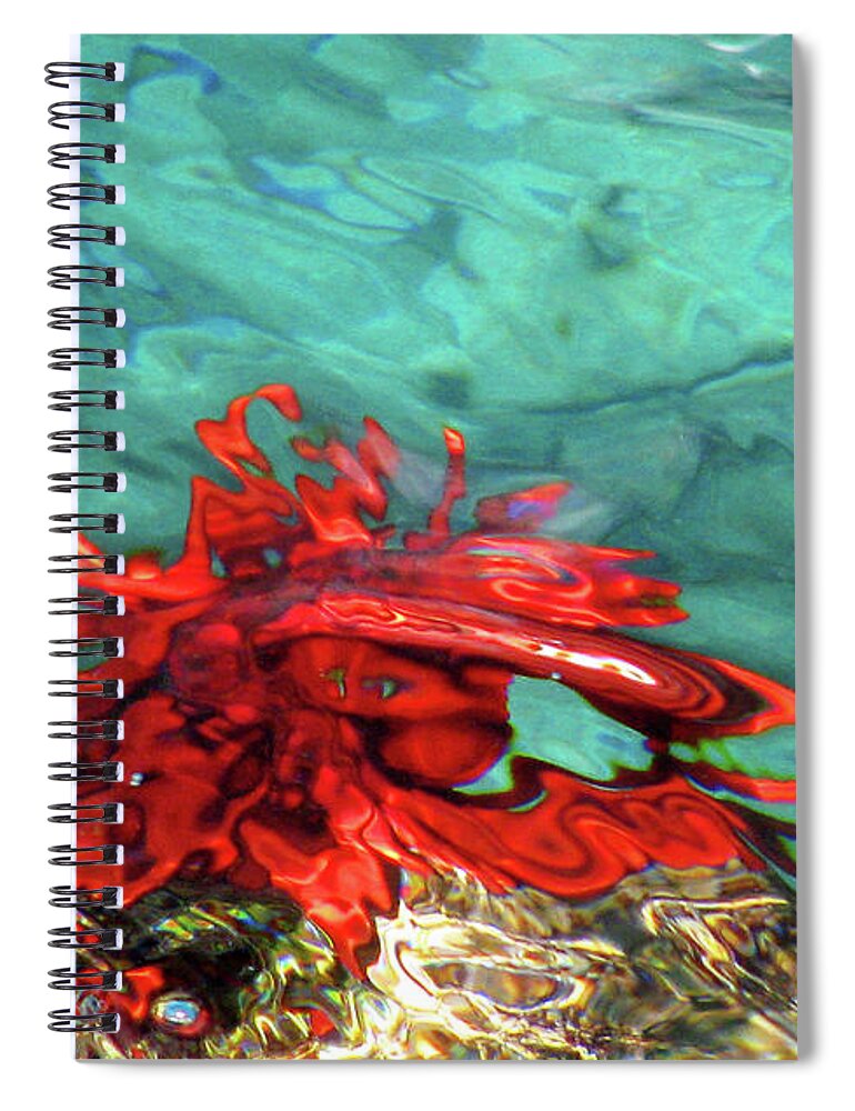 Urchin Spiral Notebook featuring the photograph Urchin Abstract by Ted Keller