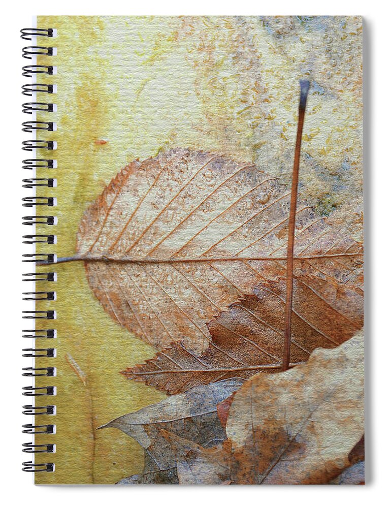 Leaves Spiral Notebook featuring the photograph Vague Uncertainties by Char Szabo-Perricelli