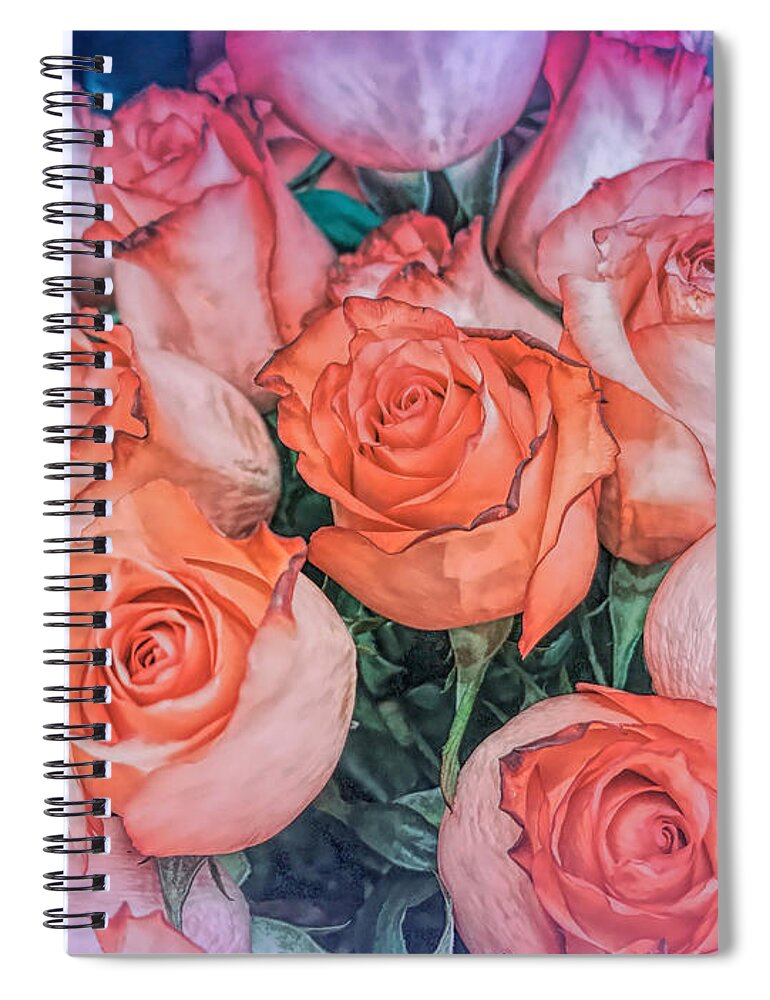 Roses Spiral Notebook featuring the photograph Valentines Day Roses by Janice Drew