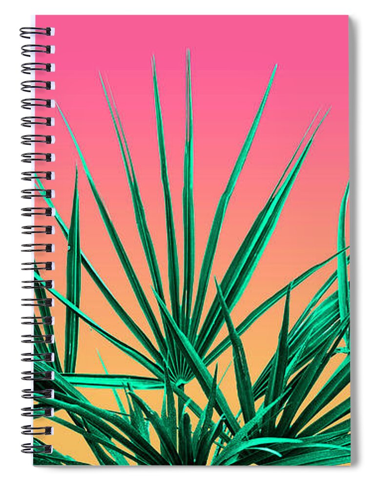 Palm Tree Spiral Notebook featuring the photograph Vaporwave Palm Life - Miami Sunset by Jennifer Walsh
