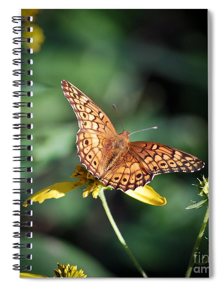 Butterfly Spiral Notebook featuring the photograph Variegated Fritillary Butterfly by Kerri Farley