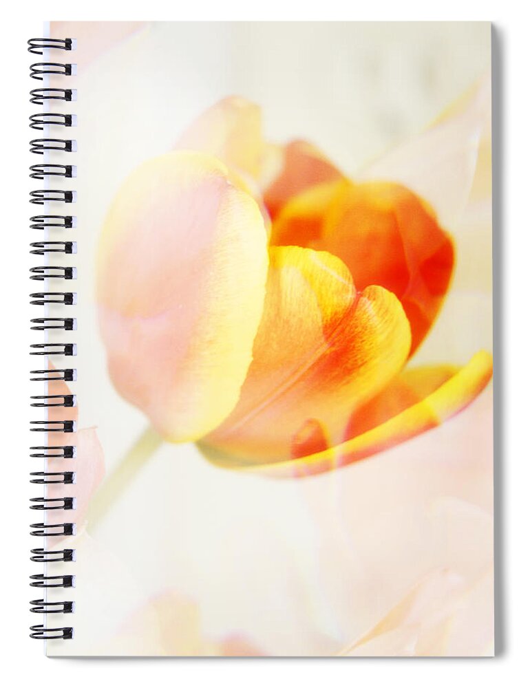 Surreal Spiral Notebook featuring the photograph Veiled Tulip by Marilyn Hunt