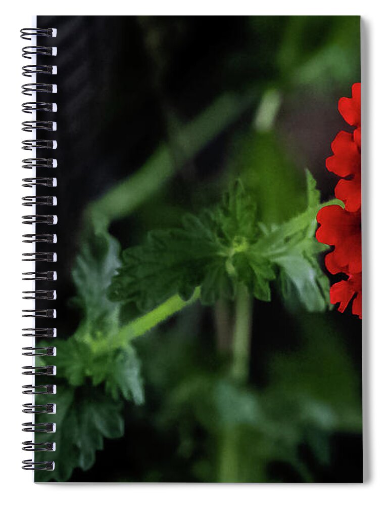 Flower Spiral Notebook featuring the digital art Verbena peruviana by Ed Stines