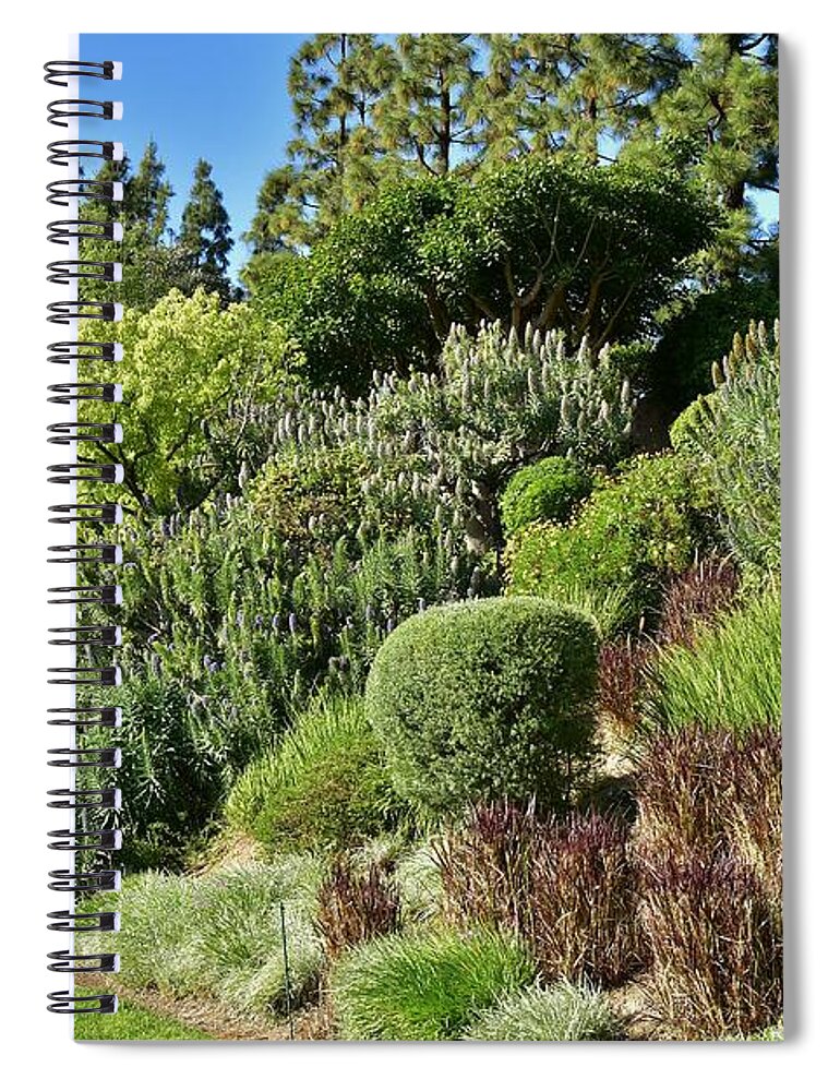 Linda Brody Spiral Notebook featuring the photograph Veronica spicata Royal Candles II by Linda Brody