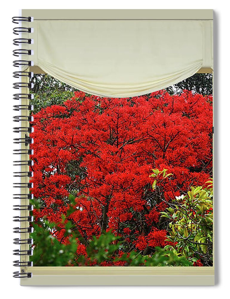 Vibrant Red Blossoms Window View Spiral Notebook featuring the photograph Vibrant Red Blossoms Window View by Kaye Menner by Kaye Menner