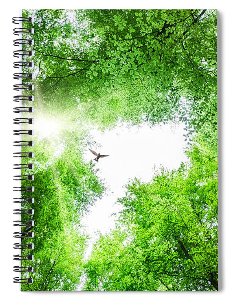 Tree Spiral Notebook featuring the photograph View through tree canopy with bird soaring by Simon Bratt