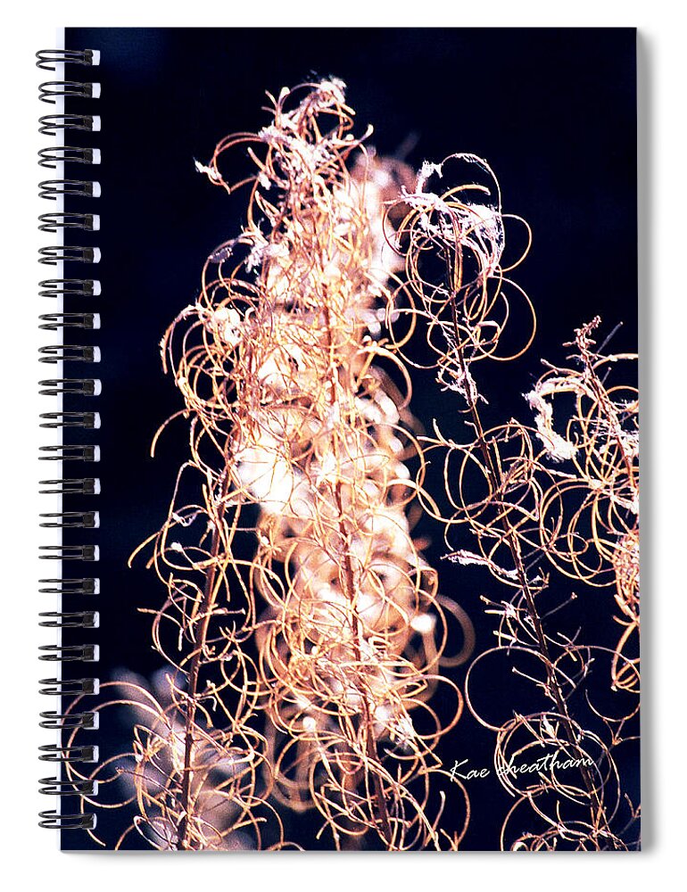 Vines Spiral Notebook featuring the photograph Vine Circles and Light by Kae Cheatham