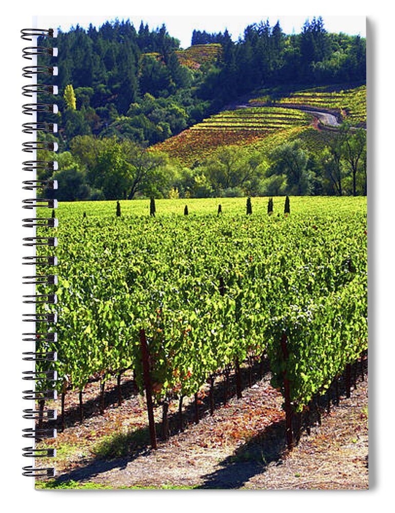 Vineyards Spiral Notebook featuring the photograph Vineyards in Sonoma County by Charlene Mitchell