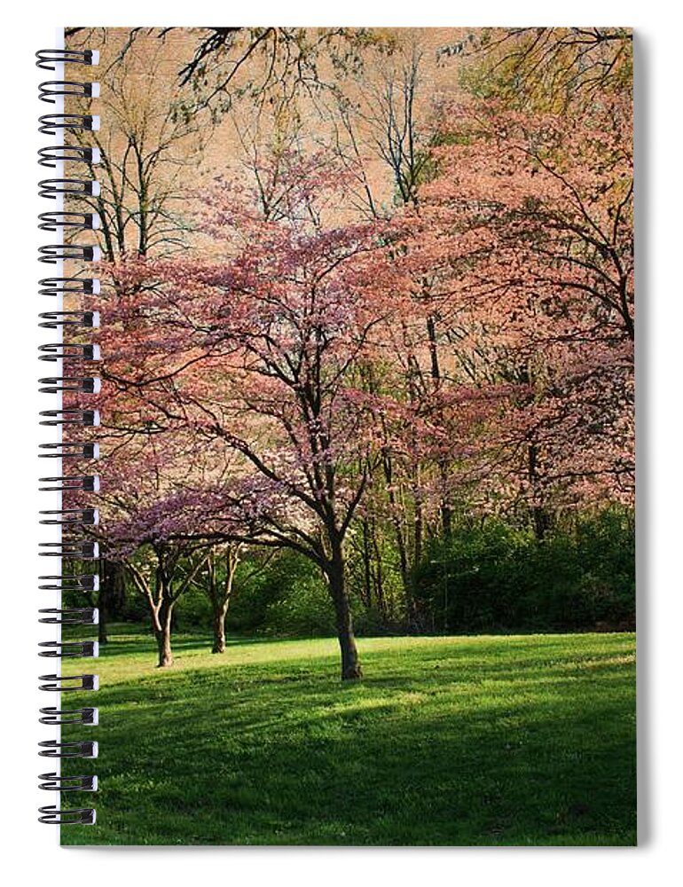 Dogwood Tree Spiral Notebook featuring the photograph Vintage Dogwood Spring by Luther Fine Art