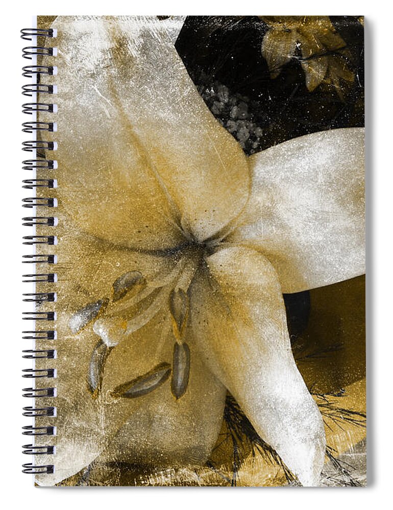 Flower Spiral Notebook featuring the photograph Vintage Lily by Cheryl Rose
