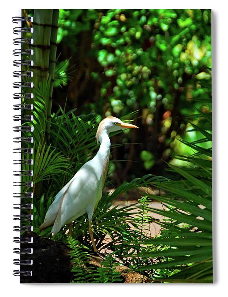 Hawaii Spiral Notebook featuring the photograph Visitor in the Garden by Lynn Bauer