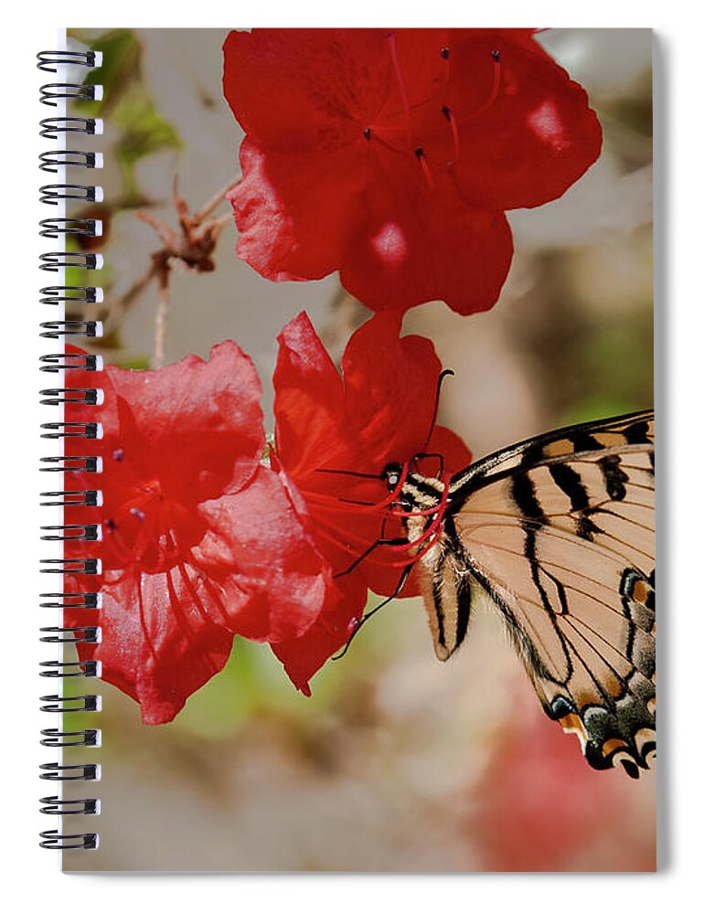 Garden Spiral Notebook featuring the photograph Visitor by Jean-Pierre Ducondi