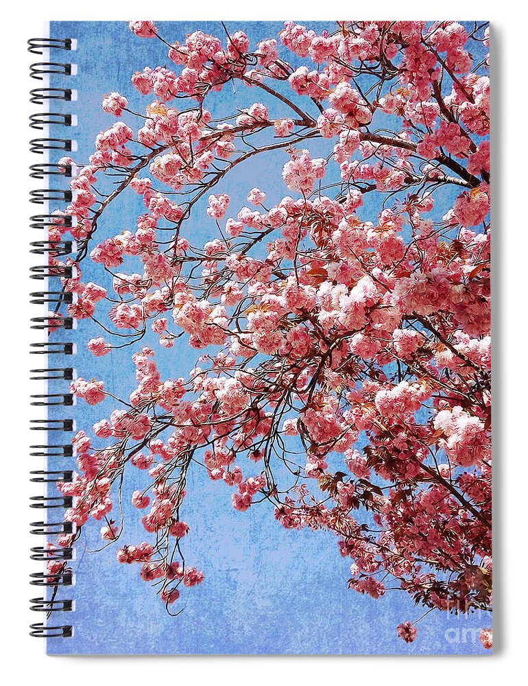 Cherry Blossoms Spiral Notebook featuring the photograph Vivid Cherry Blossoms by Maria Janicki