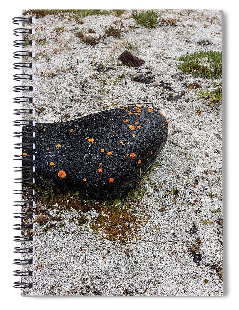 Alaska Spiral Notebook featuring the photograph Volcano Rock by Fred Denner