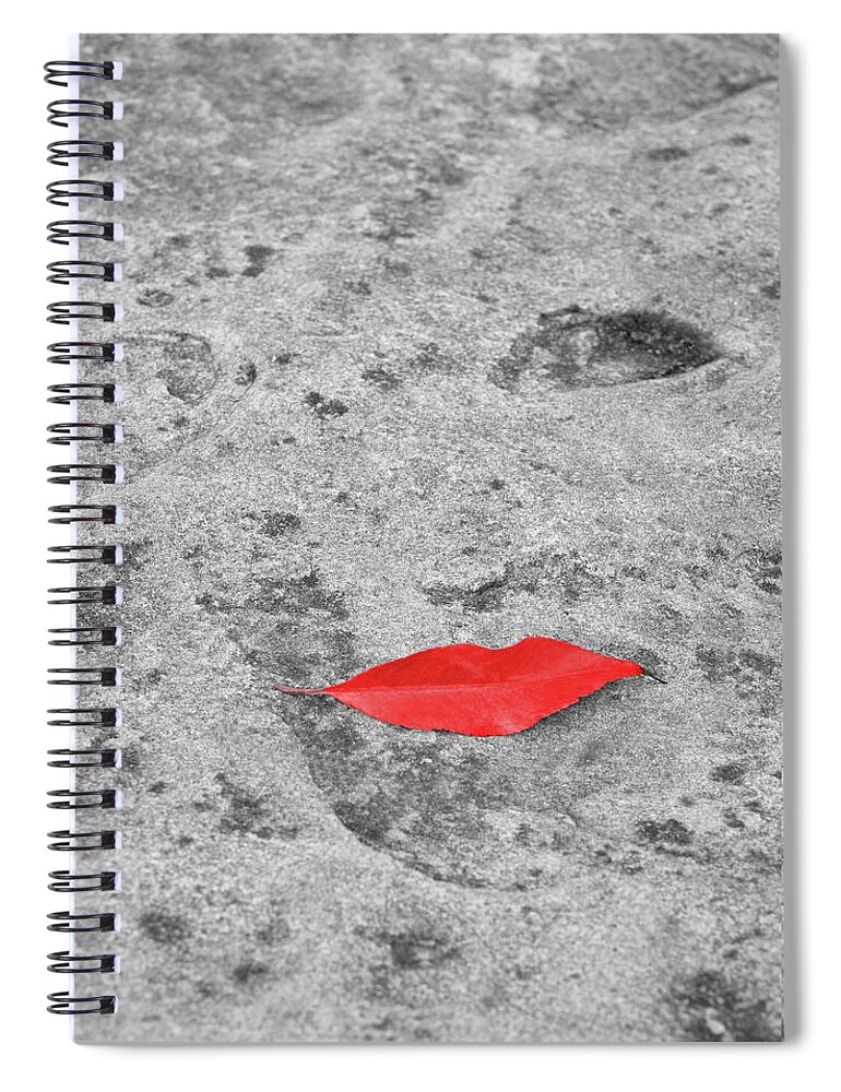 Humorous Spiral Notebook featuring the photograph Voluminous Lips by Dale Kincaid