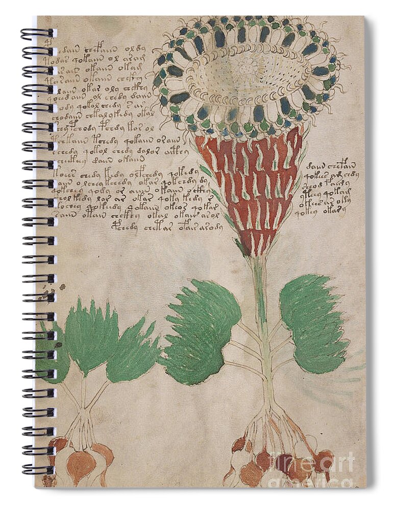 Plant Spiral Notebook featuring the drawing Voynich flora 15 by Rick Bures
