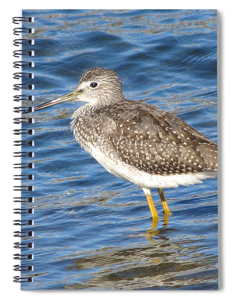 Wildlife Spiral Notebook featuring the photograph Wading Yellowlegs by William Selander