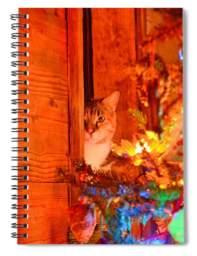 Waiting For Santa Spiral Notebook featuring the photograph Waiting For Santa by Lisa Wooten